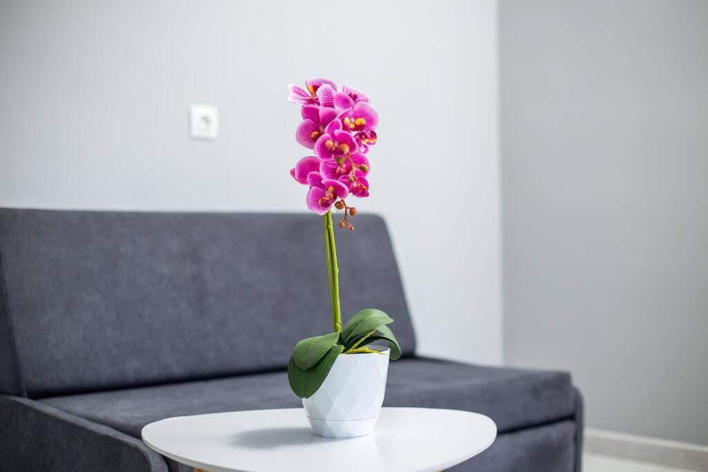 Pelagias Apartments Rhodes City ภายนอก รูปภาพ